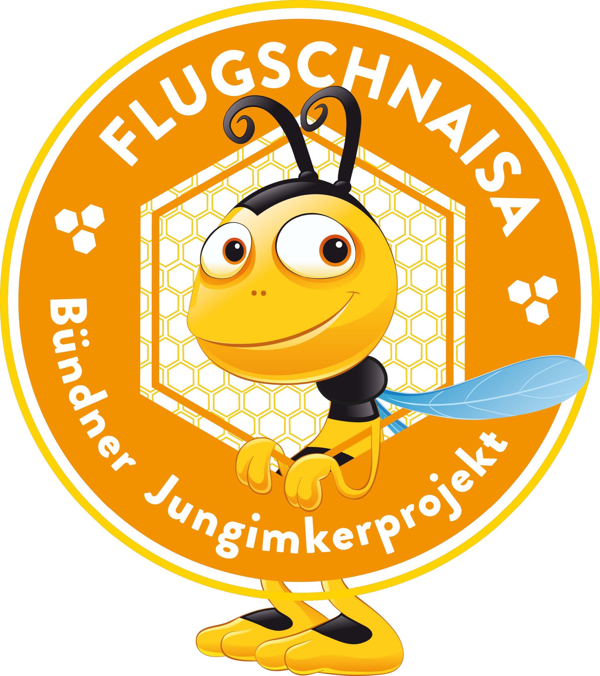 Flugschnaisa